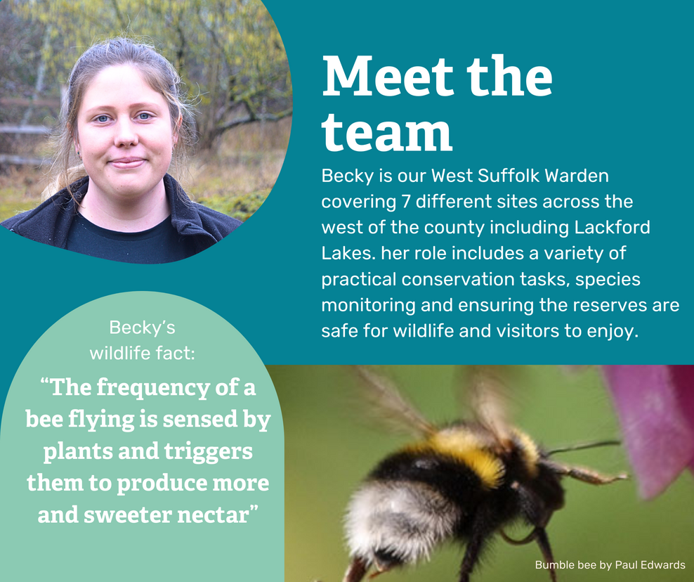 Meet the Team Lackford Lakes Suffolk Wildlife Trust